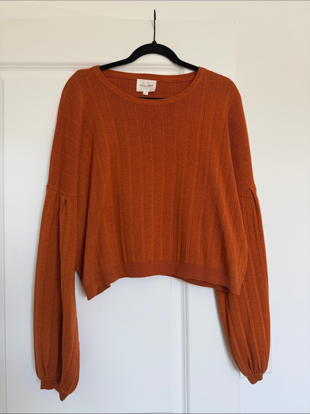 Line & Dot Cropped Ribbed Sweater in Burnt Orange